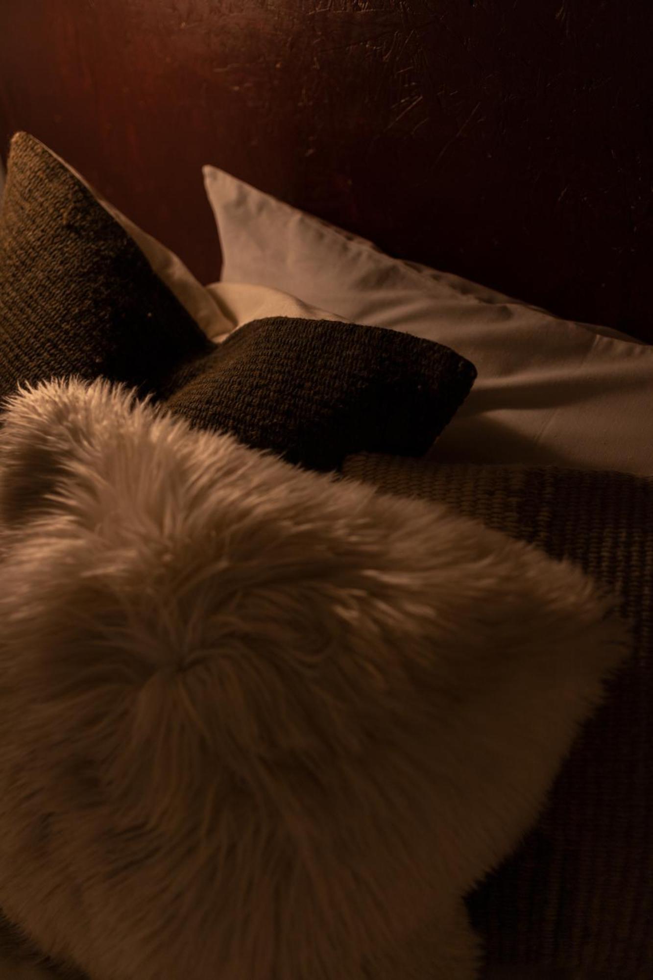 クスコ Casa Tunkiホステル エクステリア 写真